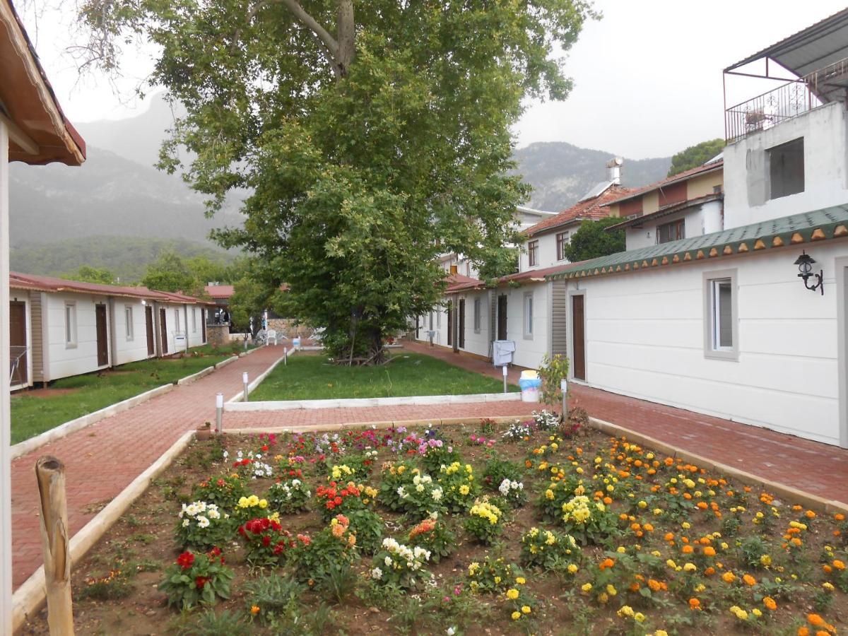 Ipsos Hotel Beldibi Kemer Buitenkant foto